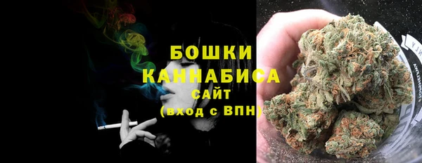 прущие грибы Баксан