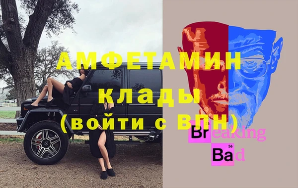 прущие грибы Баксан