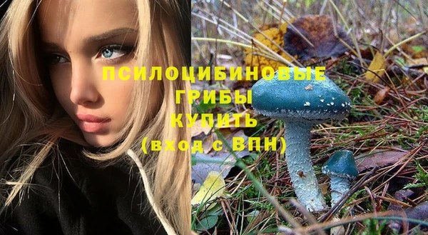 кокс Покачи