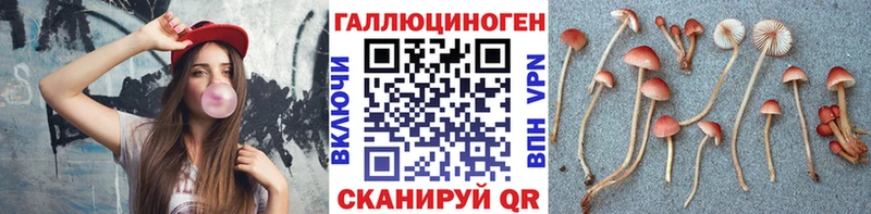 Галлюциногенные грибы мицелий  mega ссылка  Яранск  даркнет сайт 